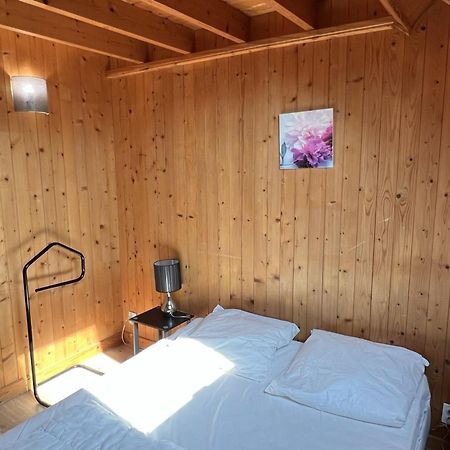 Chalet 4 Pieces A Cabourg Avec Jardin, Proche Piscine Et Tennis, Ideal Pour Familles, 6 Pers. Max - Fr-1-487-325 מראה חיצוני תמונה